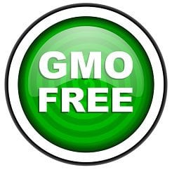 gmo