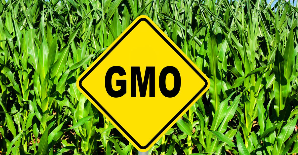 New England Journal Of Medicine Article Calls For Labeling Of GM Foods