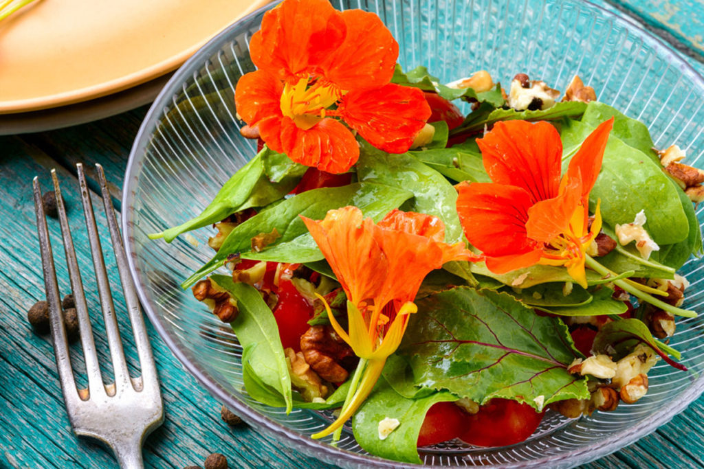 Edible Flowers How To Find Use Them In Recipes