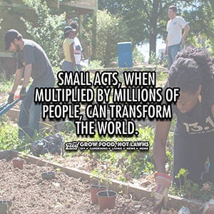 Quote about how small acts can transform the world