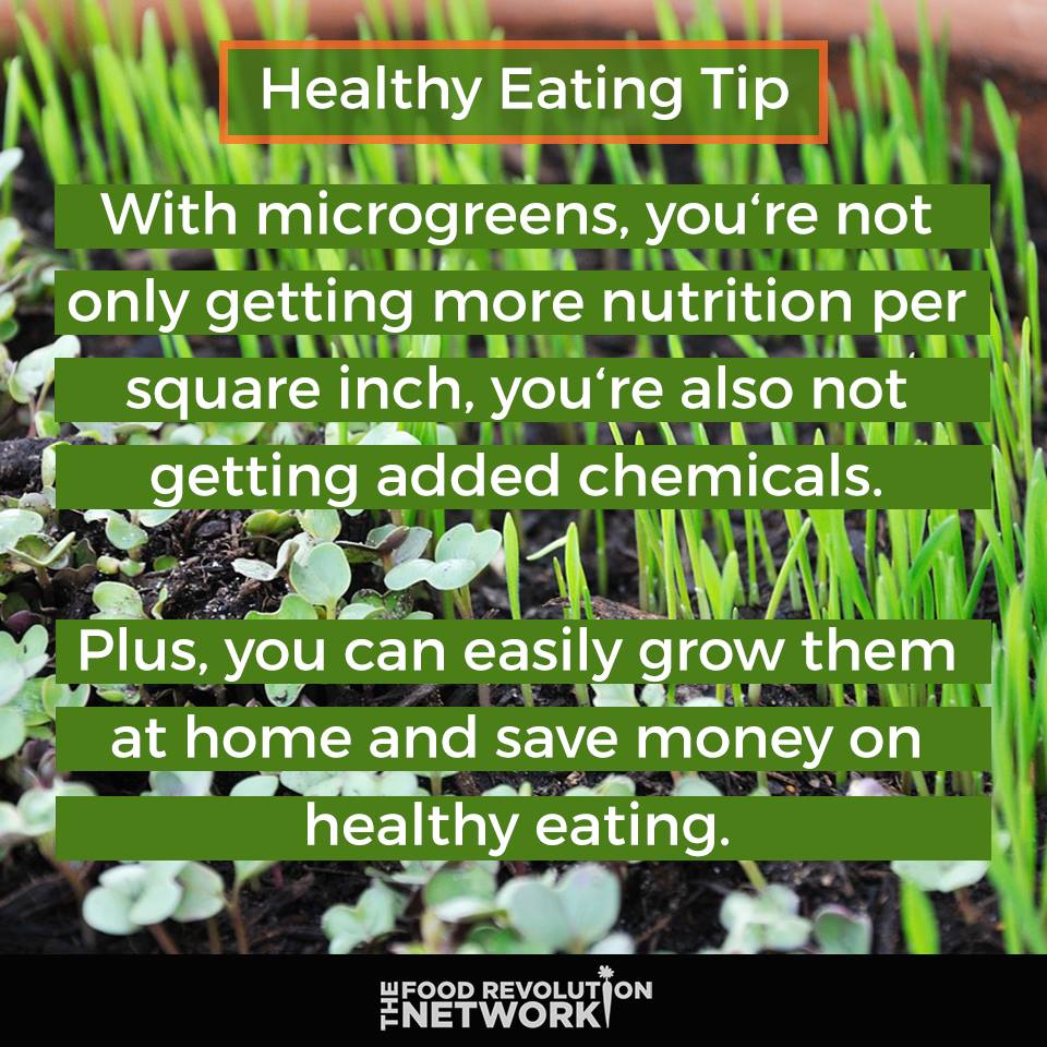 Healthy Eating Tip: Microgreens are fantastic for you and can be grown anytime of the year