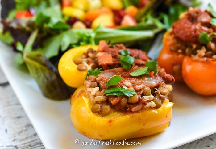 Beautiful Stuffed Peppers with Lentils