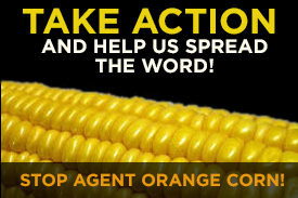 take-action-corn-spread