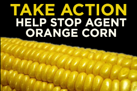 take-action-corn