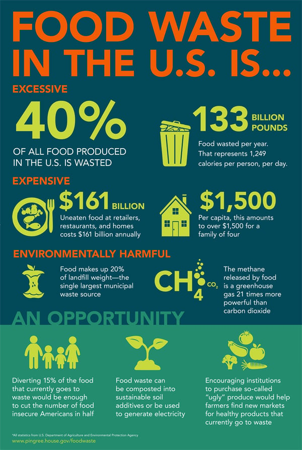 Food waste in the U.S. infographic