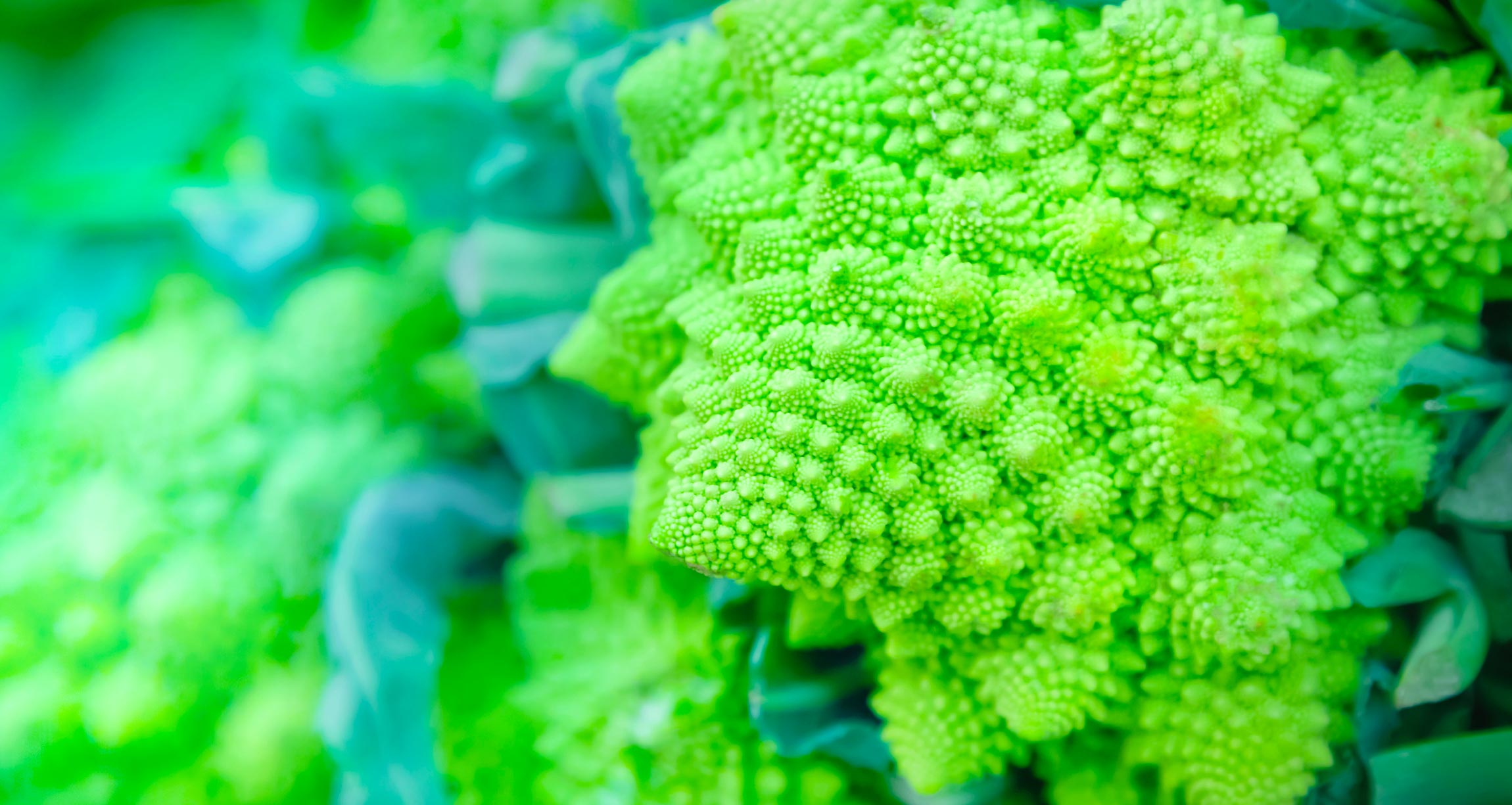 cruciferous-vegetables-benefits-10-reasons-to-eat-them-regularly