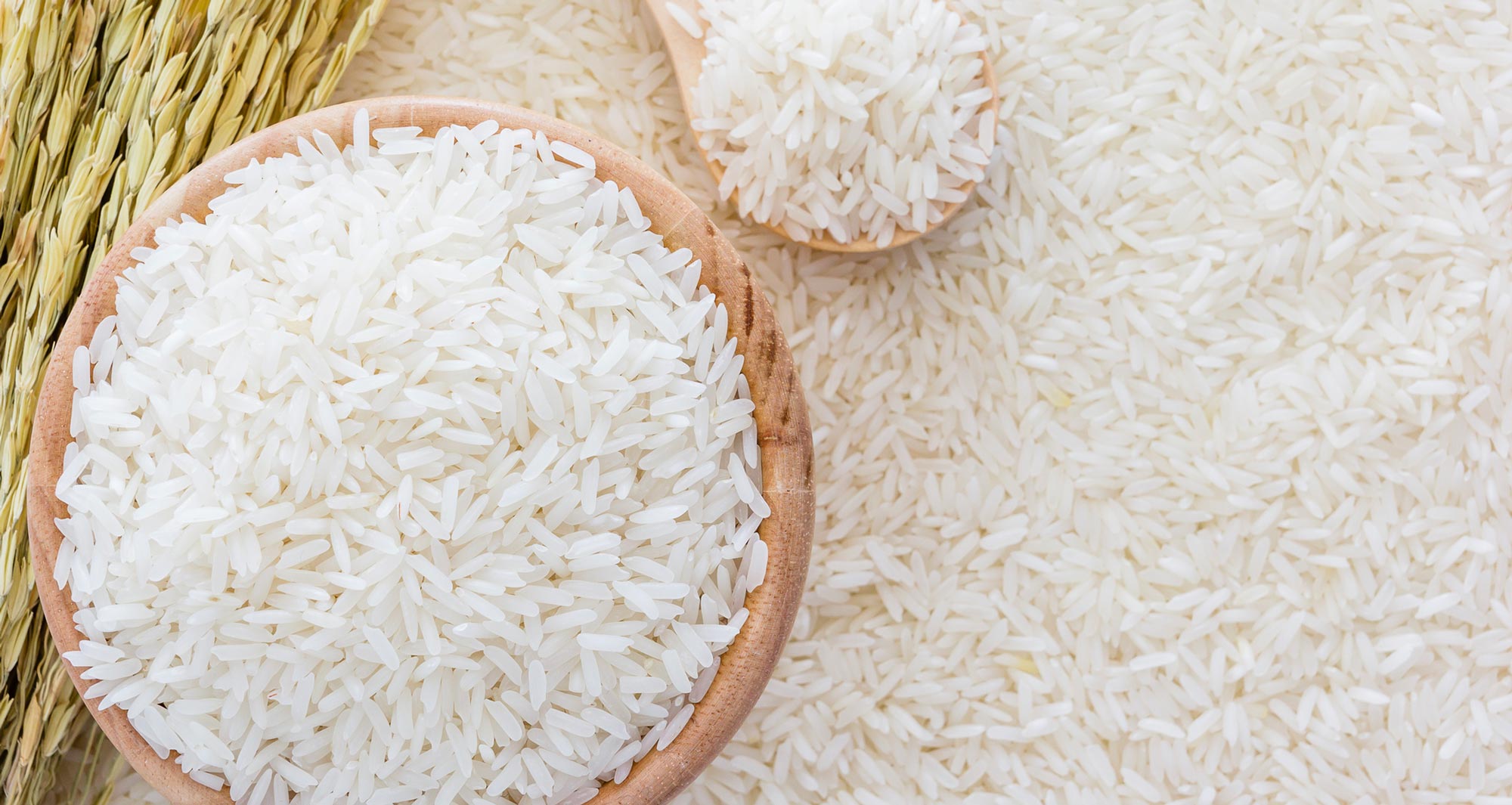bowl of rice on top of more rice