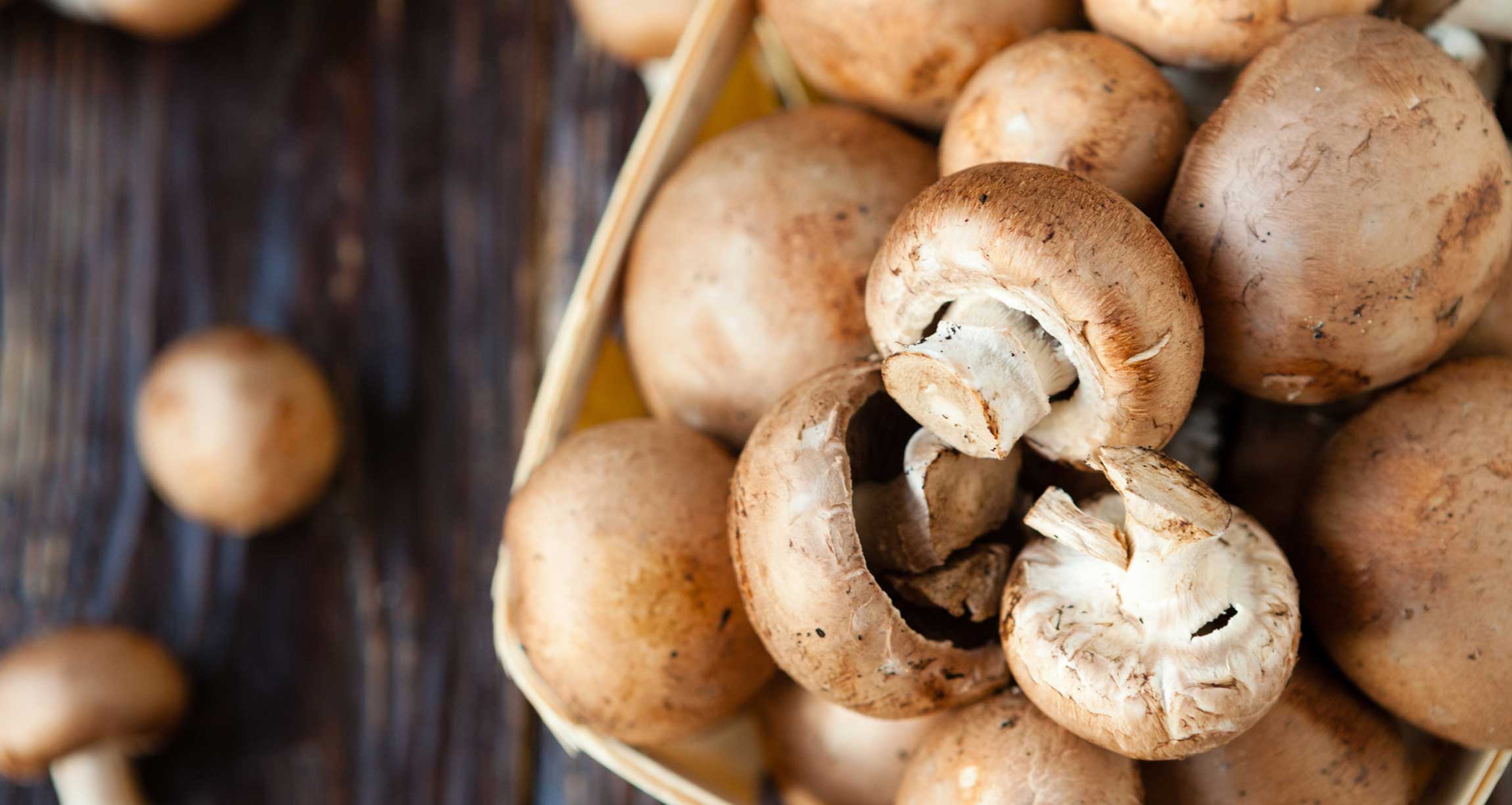 basket of mushrooms