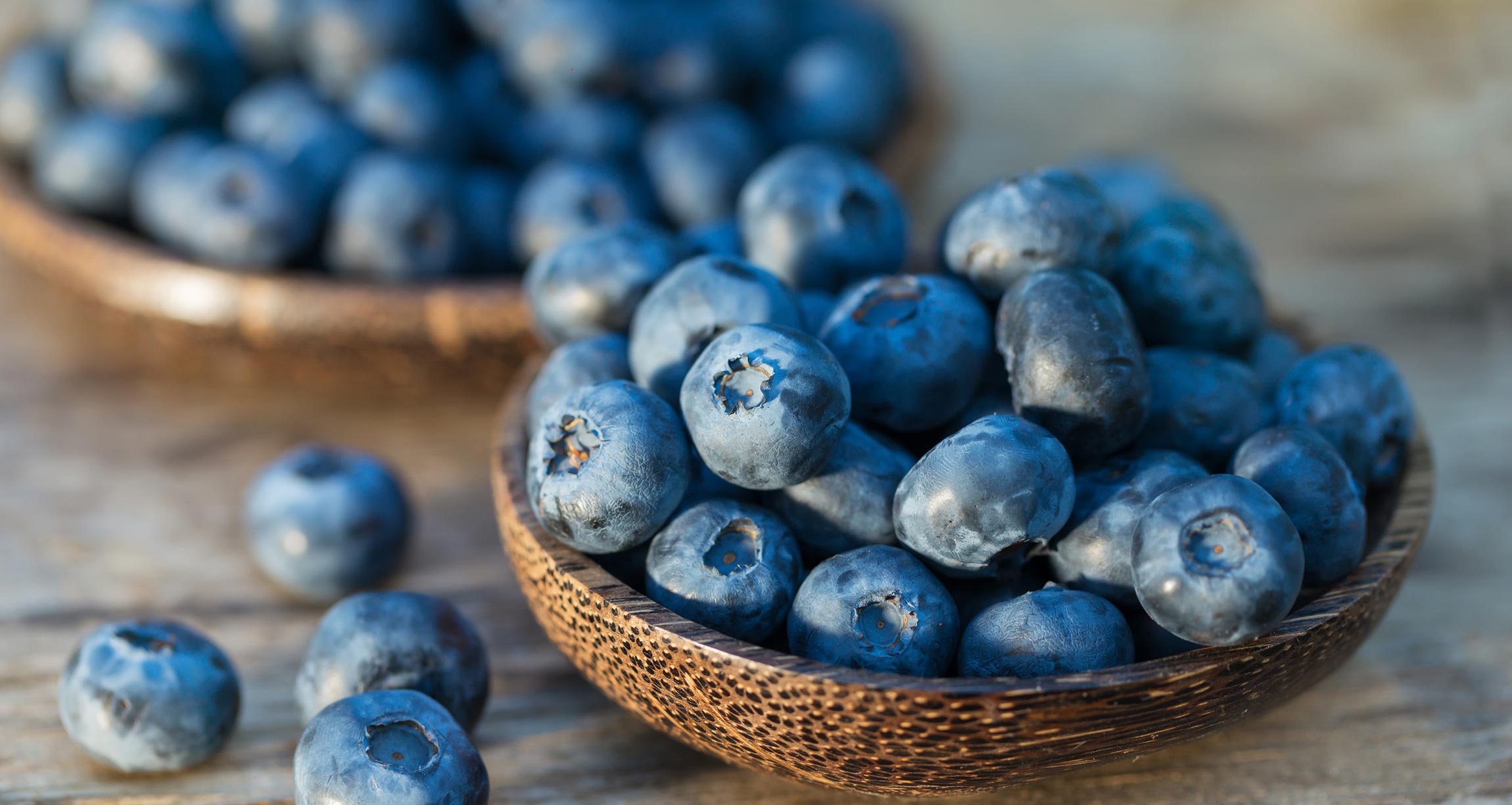 bowls of blueberries