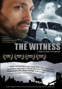 movie cover for The Witness
