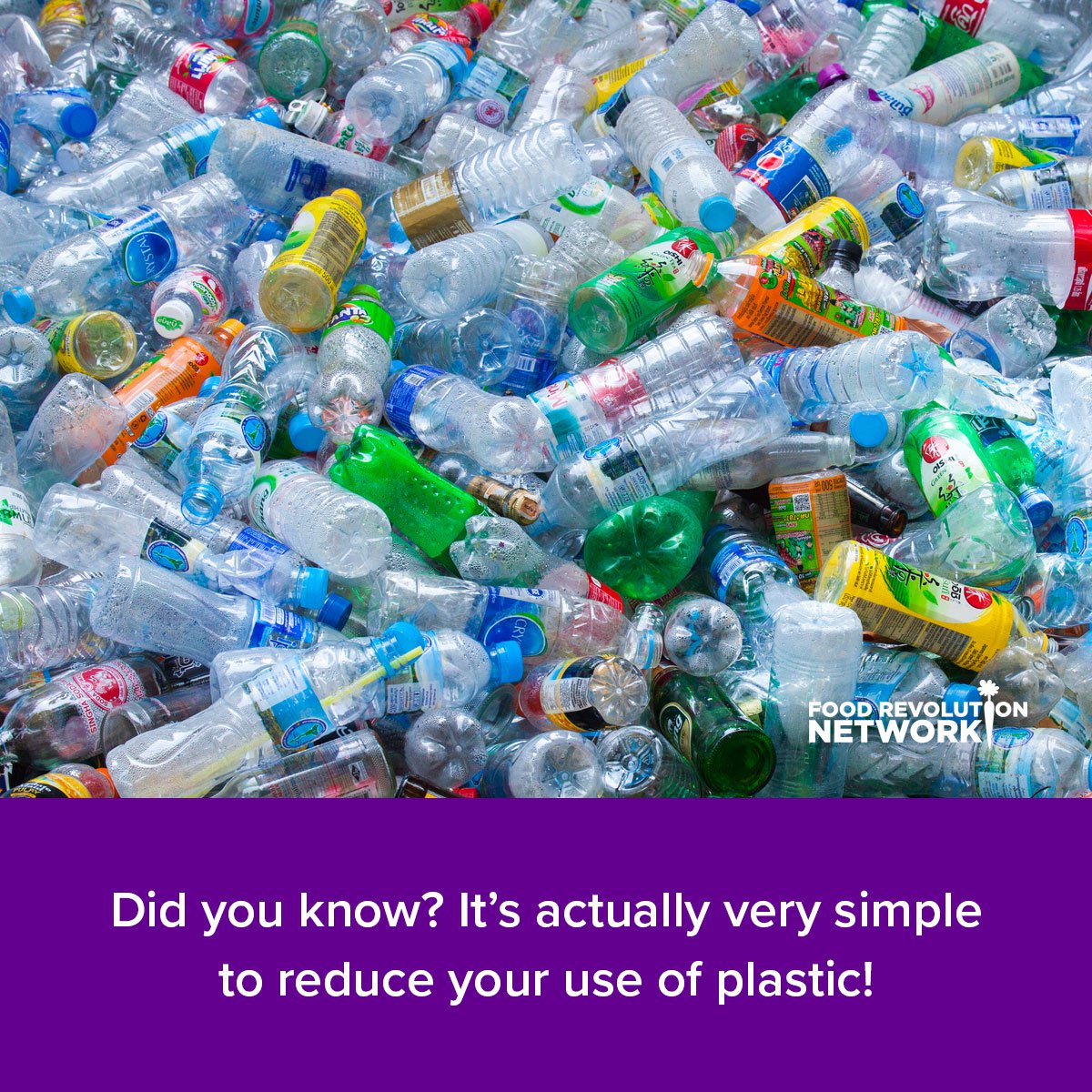 SingleUse Plastics How You Can Help Solve the Plastic Problem