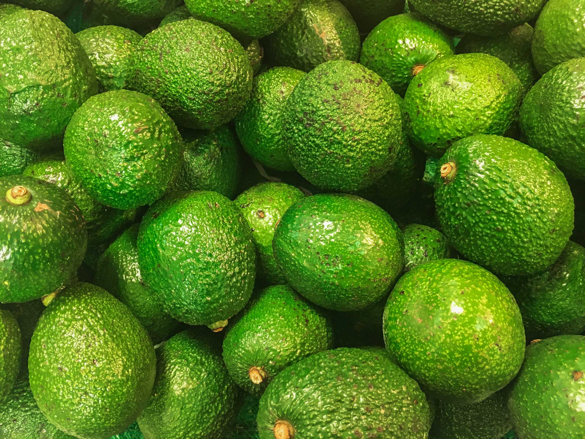 Avocado Health Benefits: 15 Reasons to Eat These Fabulous Fruits!