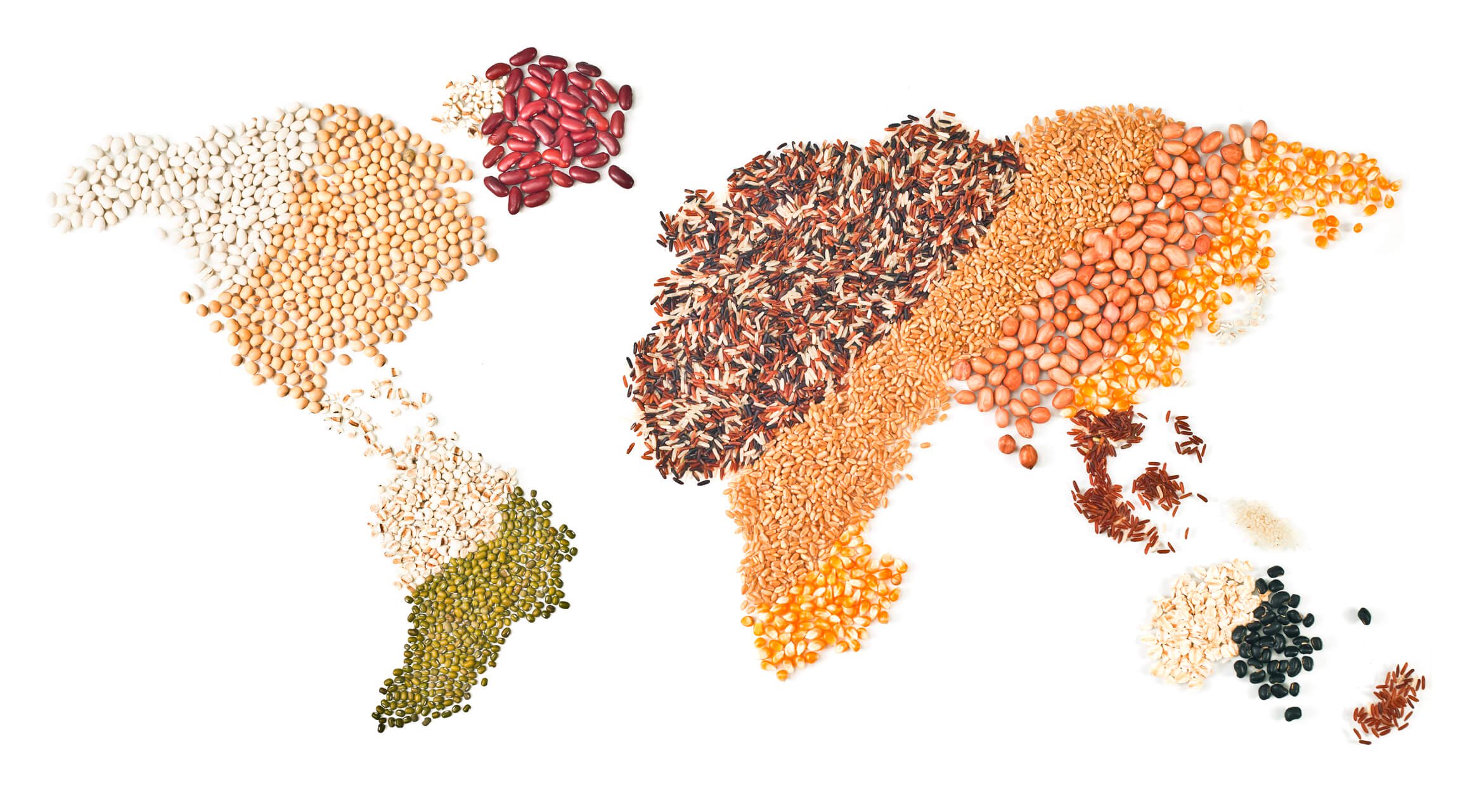 Food and Climate Change: The Best & Worst Foods For The Planet Biology Diagrams