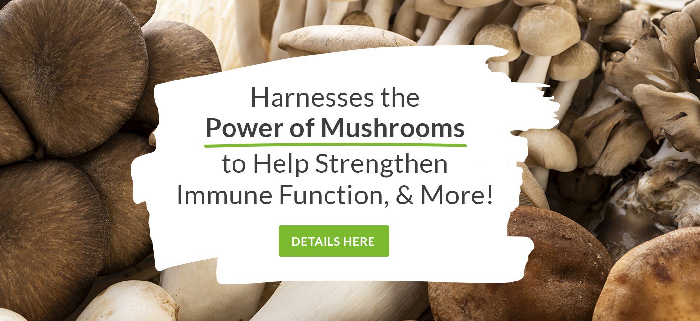 Harnesses the power of mushrooms to help strengthen immune function, & more!