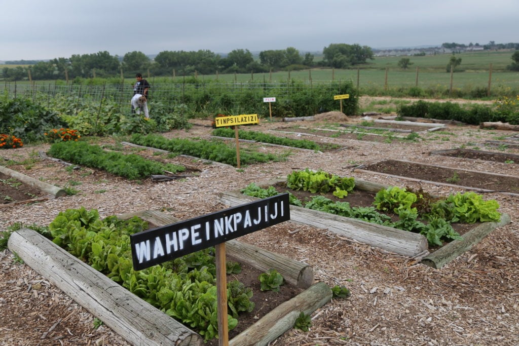 Keya Wakpala Garden on the Rosebud Indian Reservation