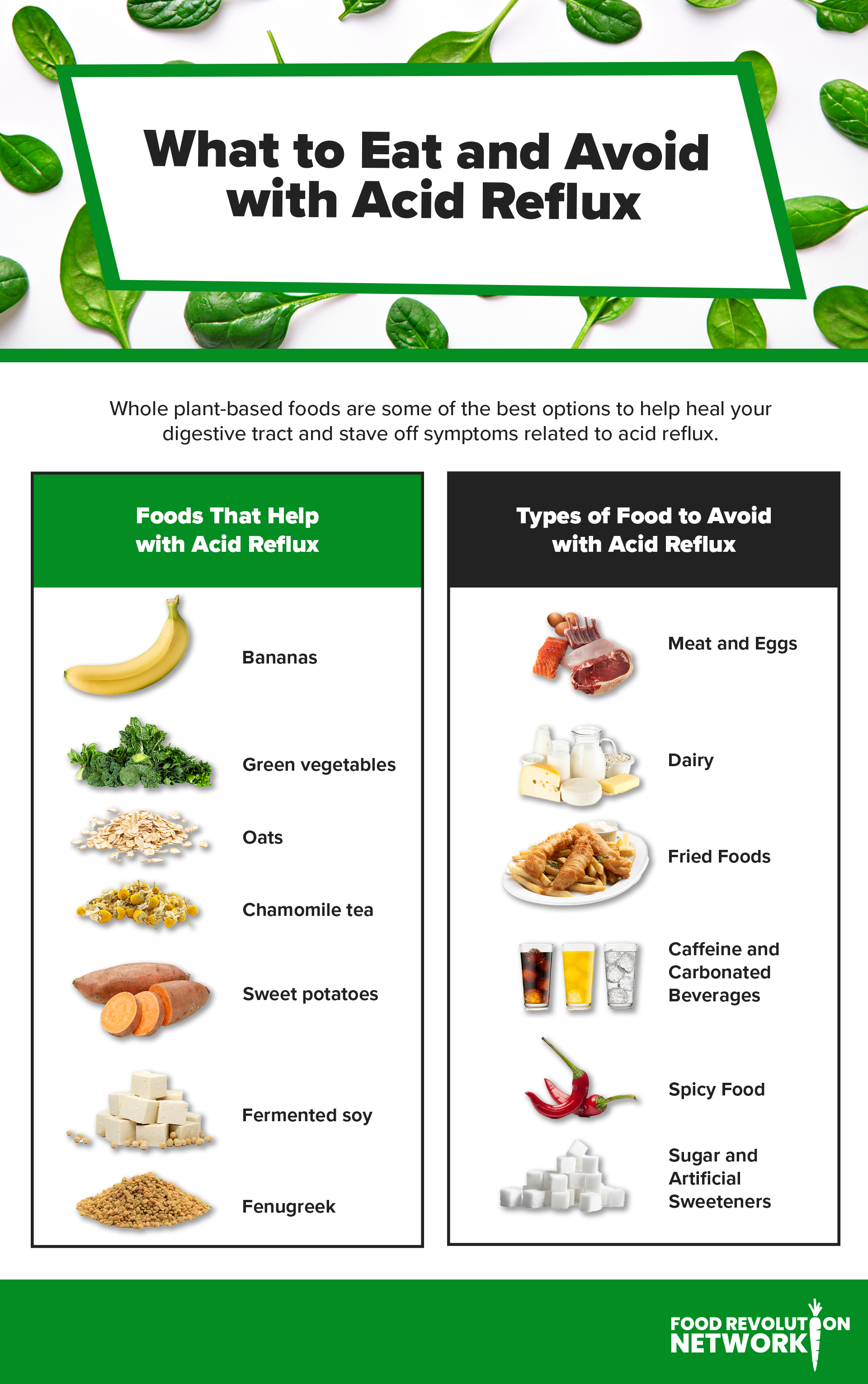 Acid reflux foods infographic