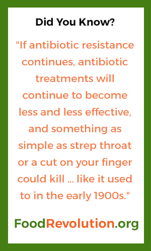 Antibiotic resistance quote