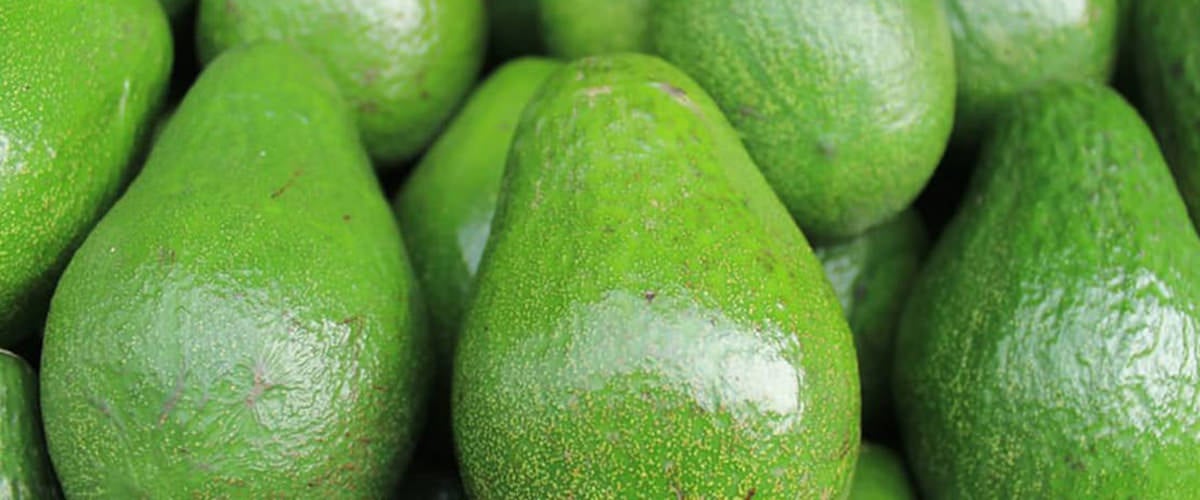 Avocado - stress fighting food