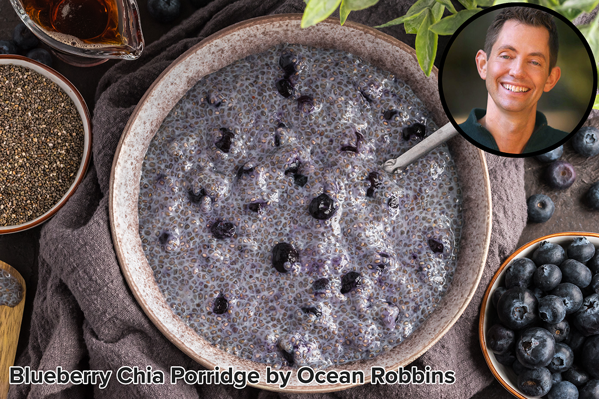 Blueberry Chia Porridge recipe by Ocean Robbins