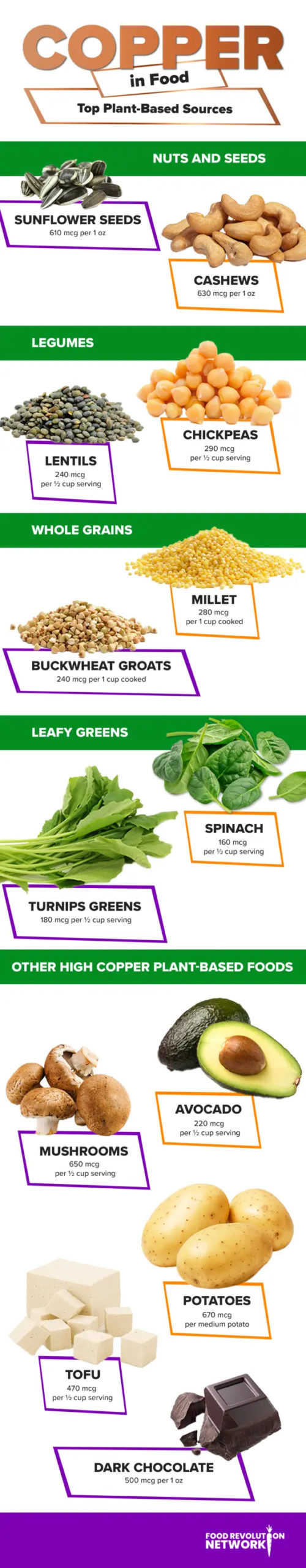 Dietary copper sources - copper in food infographic