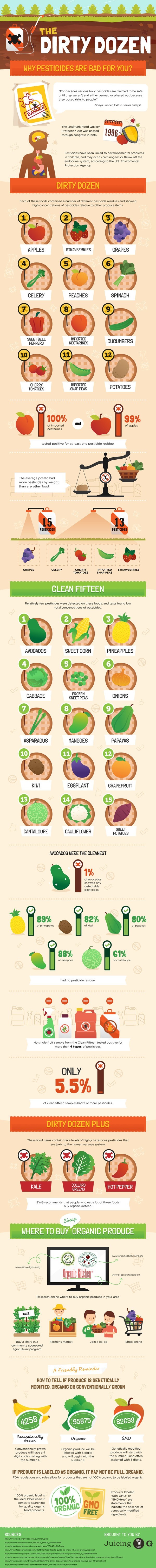 Dirty Dozen Infographic