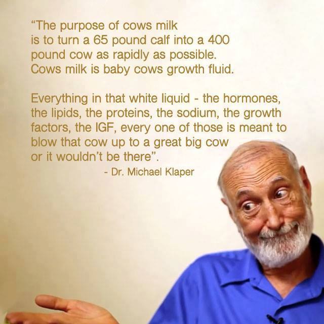 Dr. Michael Klaper on the problems with dairy