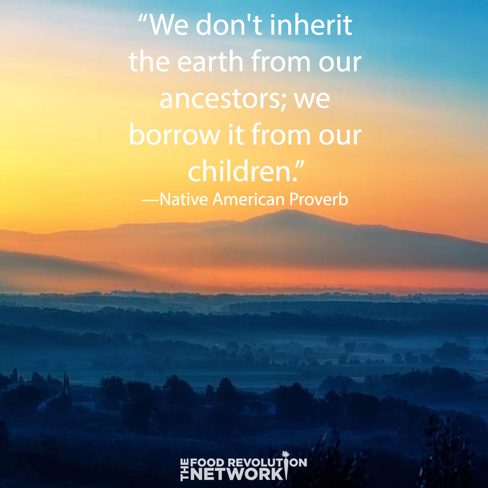 Quote: “We don't inherit the earth from our ancestors, we borrow it from our children.”