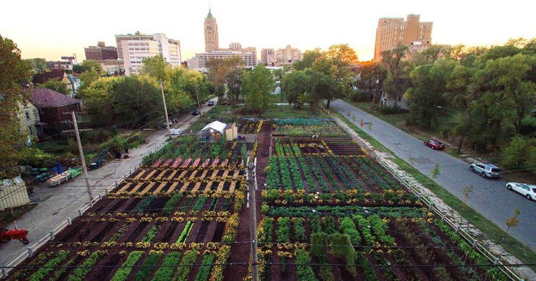 First sustainable urban agrihood in Detroit