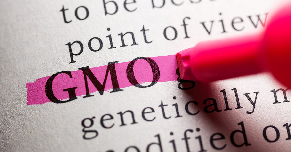 A Former GMO Scientist Speaks Out on GMO Dangers