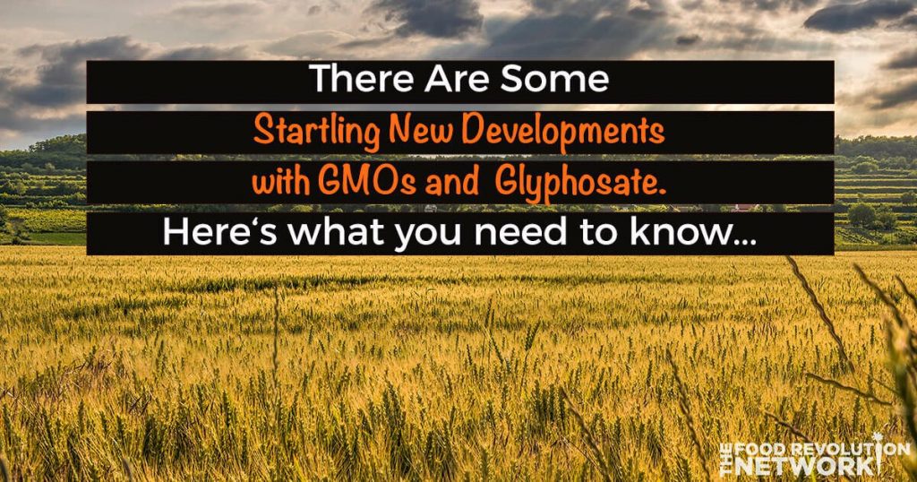Dangers of GMOs and glyphosate, the active ingredient in Monsanto's Roundup