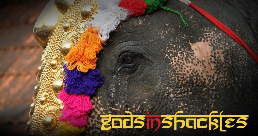 Watch the documentary Gods in Shackles documentary