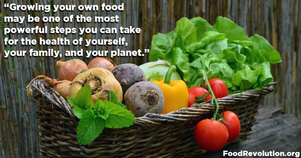 Growing your own food quote