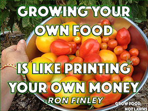 Growing your own food