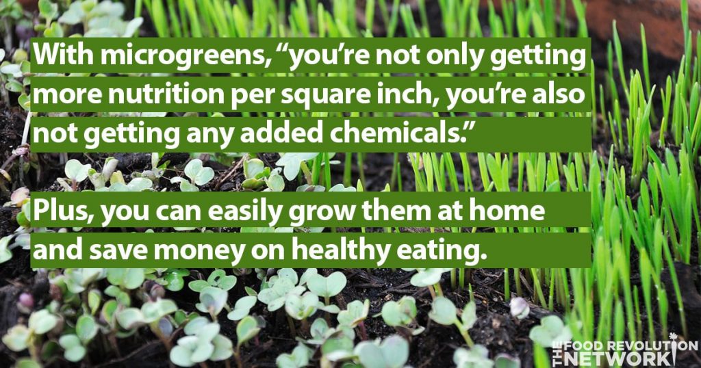 Healthy eating tips: Eating and growing microgreens