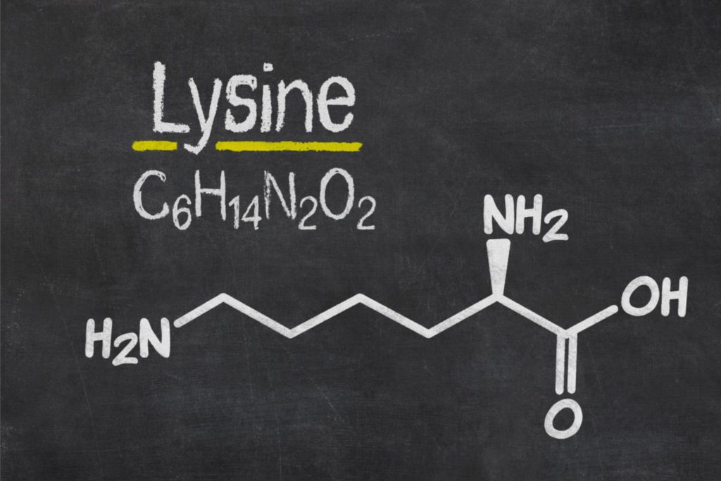 Lysine chemical structure