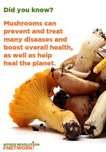 Health benefits of mushrooms - Mushrooms can prevent and treat many diseases and boost overall health, as well as help heal the planet.