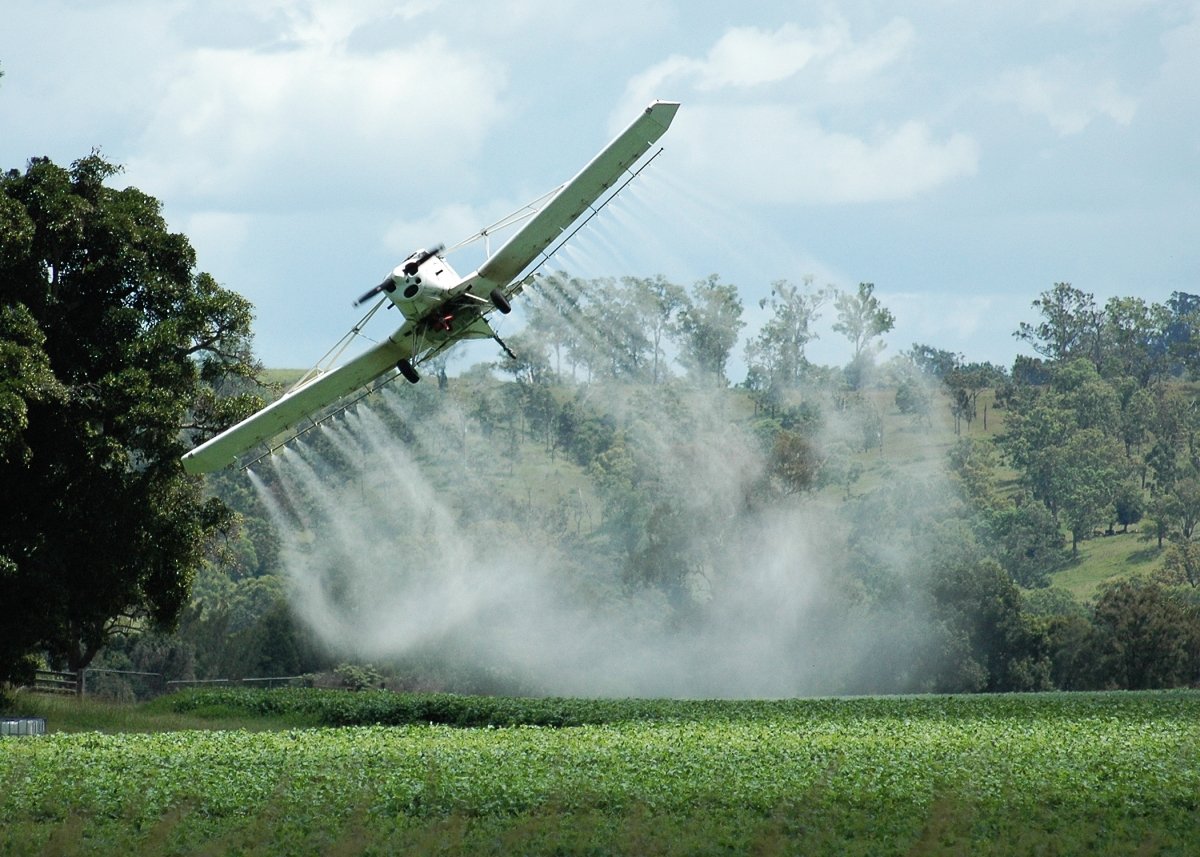 pesticide risks and regulation gaps