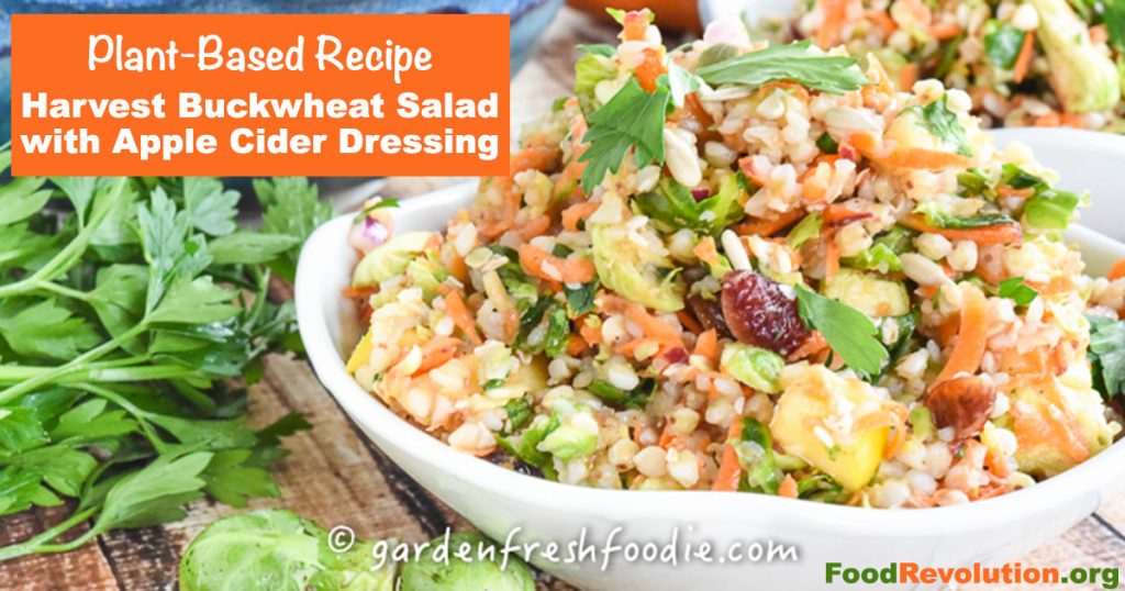 Plant-based holiday recipe for Harvest Buckwheat Salad