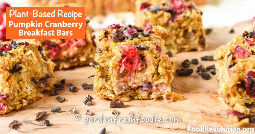Plant-Based Recipe for Pumpkin Cranberry Breakfast Bars