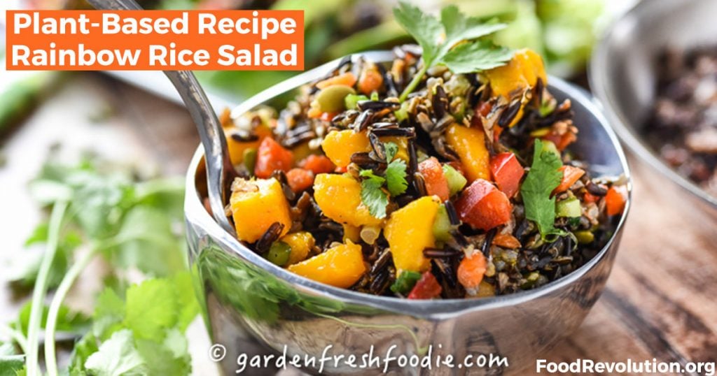 Plant-Based Recipe Rainbow Rice Salad