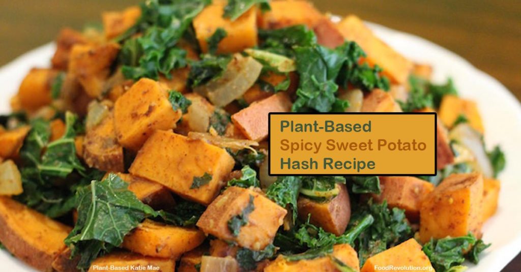 Plant-Based Recipe Spicy Sweet Potato Hash