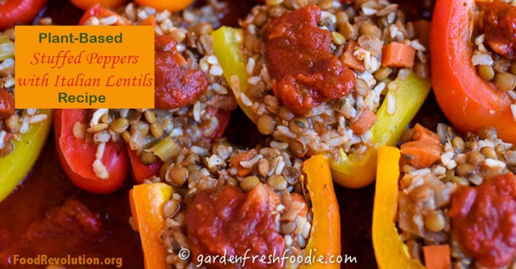 Vegetable stuffed bell peppers with lentils and rice