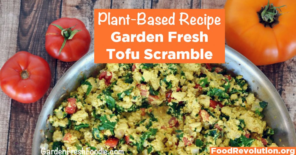 Plant-Based Recipe for Tofu Scramble