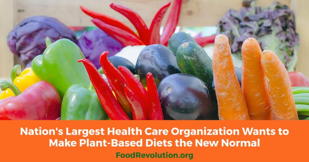 Making plant-based diets the new normal