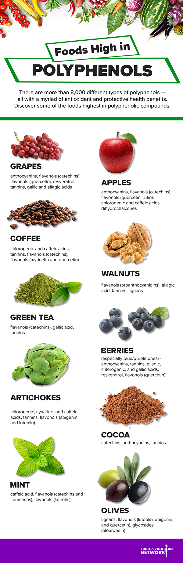 Foods High in Polyphenols Infographic