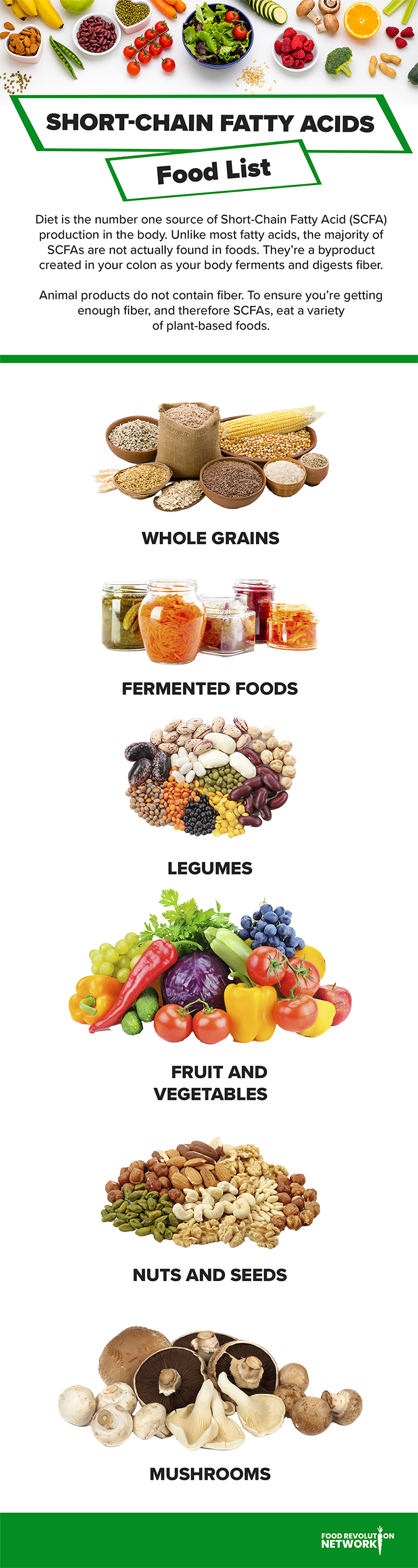 SCFA food list infographic