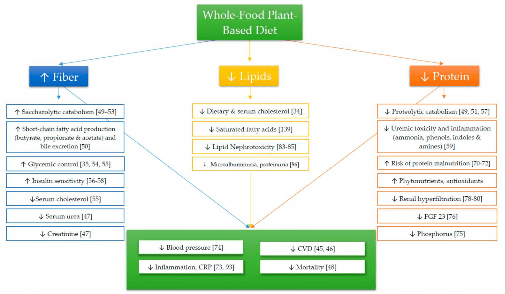 plant-based diet nutrient balance for disease prevention