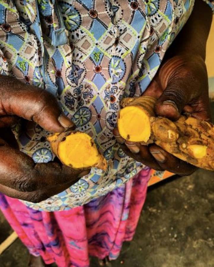 Vicky Lokwiya holding turmeric variety