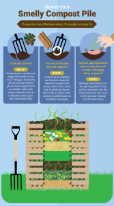 Compost: 5 Secrets to Composting at Home