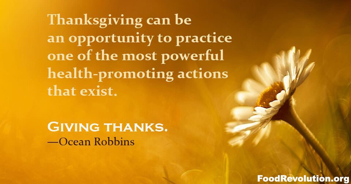 Thanksgiving gratitude quote by Ocean Robbins